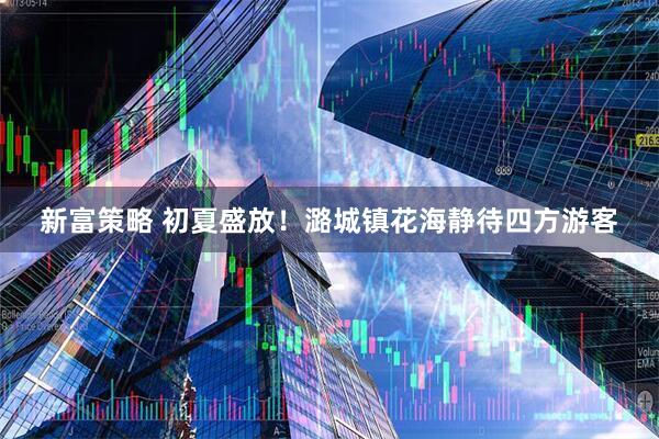 新富策略 初夏盛放！潞城镇花海静待四方游客